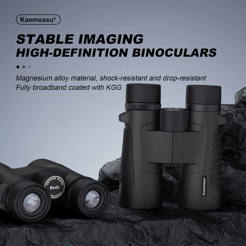 Kaemeasu C Model black 10x42 HD Waterproof Binoculars for Adults, Binoculars for Bird Watching and Hiking, Optics with BAK4 Prism, Shockproof Magnesium Alloy Body, Clear and Bright Vision